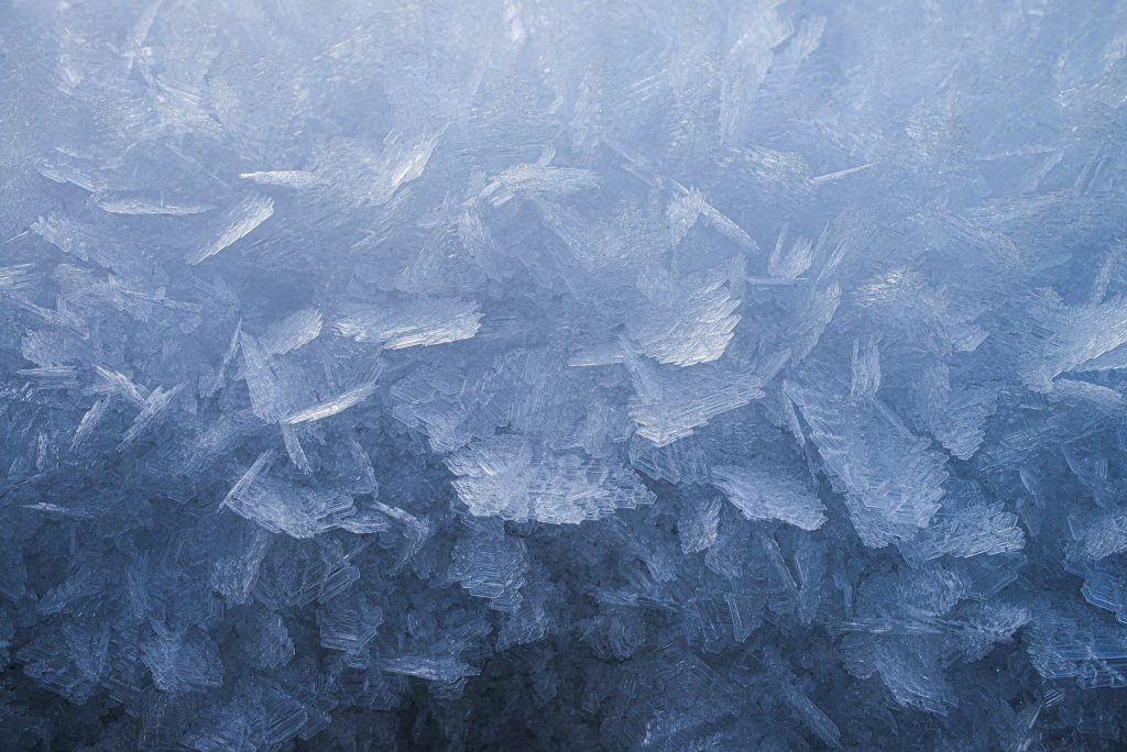Feathered frost crystals across a cold surface