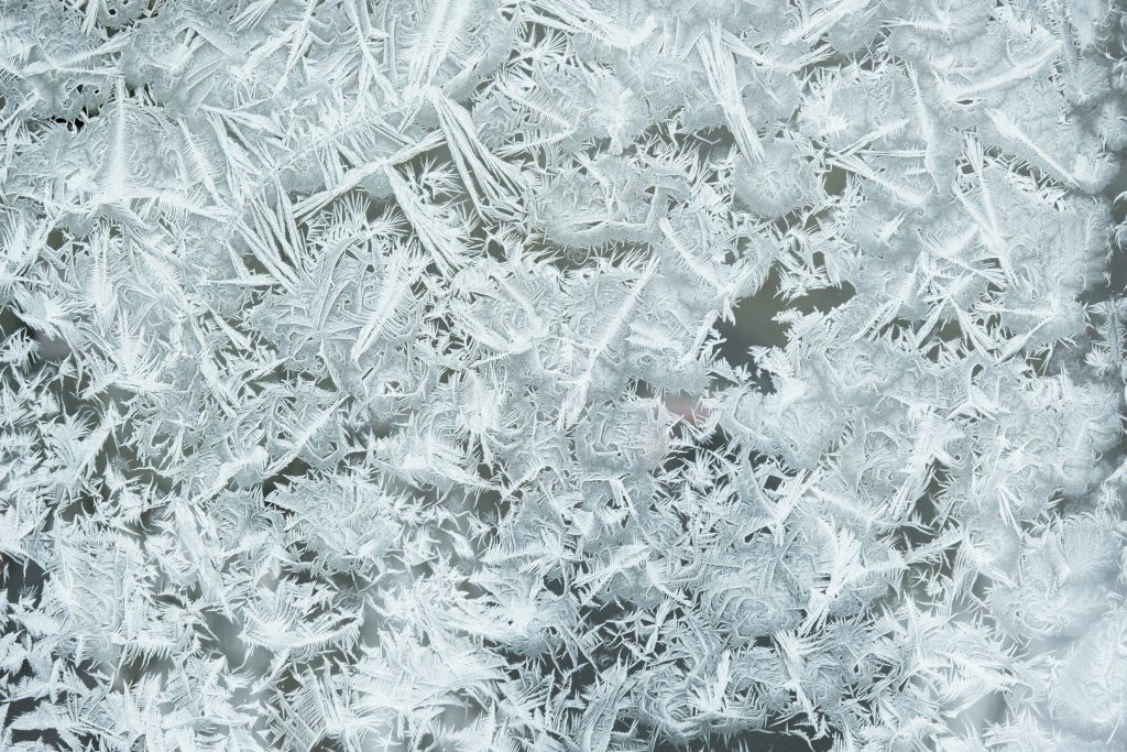 A dense white field of frost needles