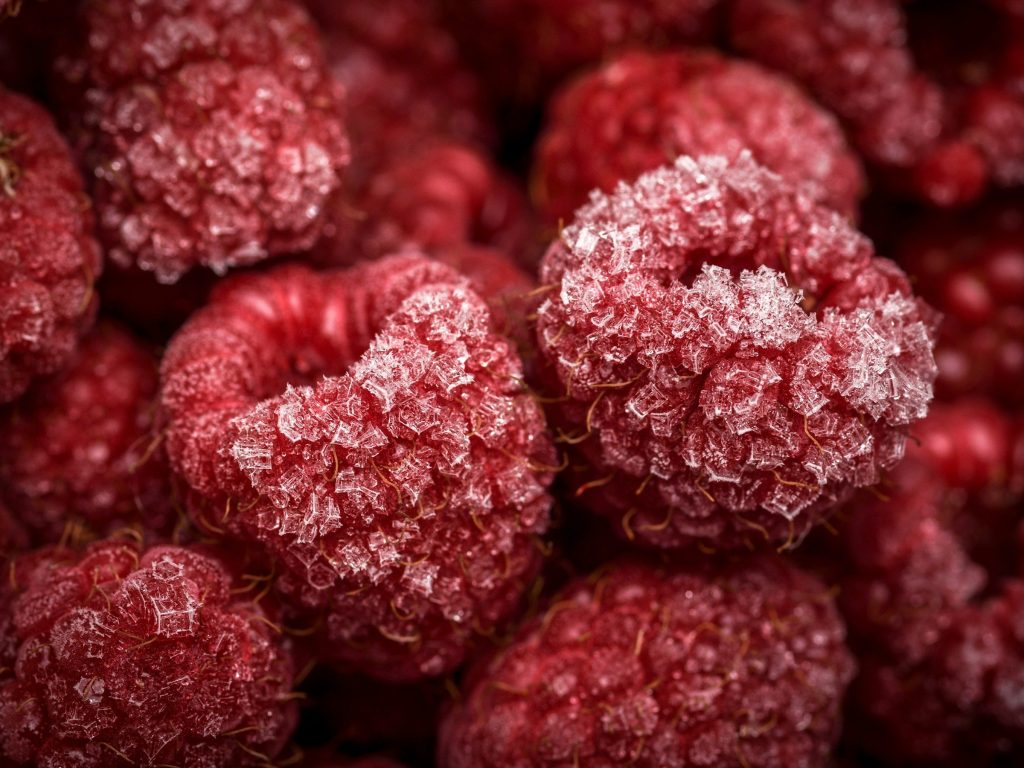 Raspberries under a heavy coat of freezer frost, close up