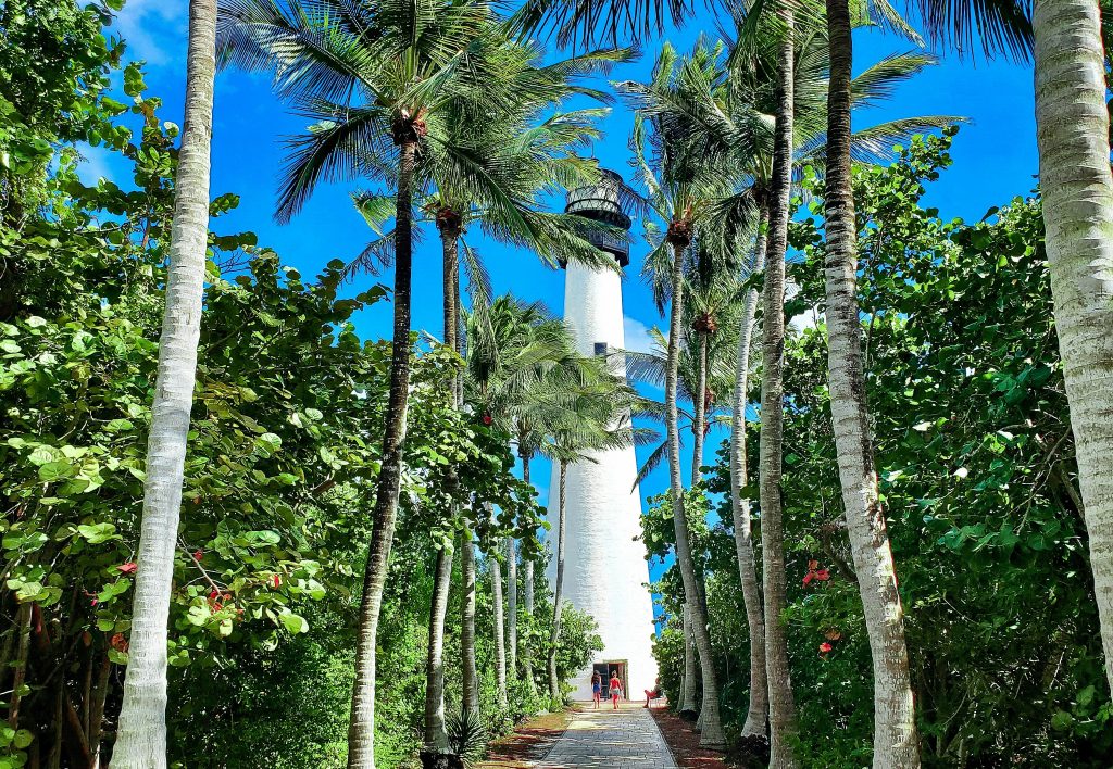 A white lighthouse standing among palms