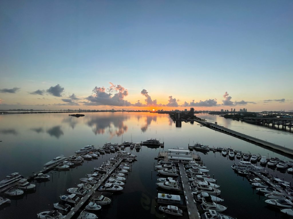 A marina full of moored boats at first light