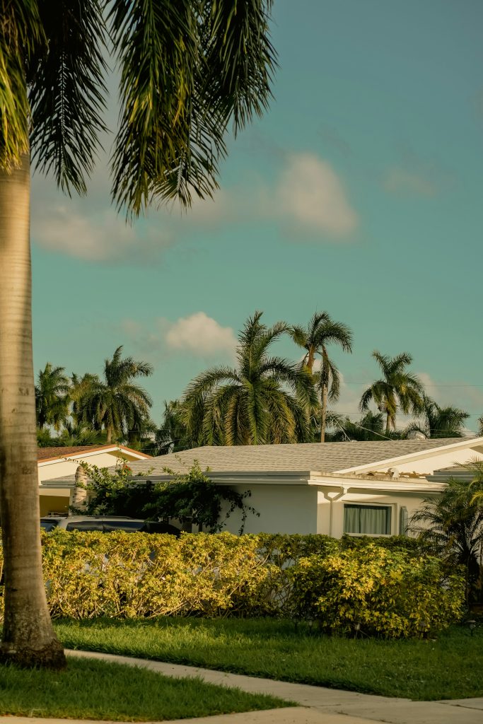 A single-story house behind a clipped hedge, royal palms along the street