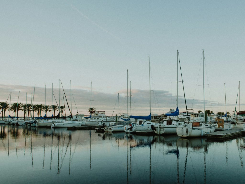 Sailboats moored in a marina at dusk, with palms along the shore