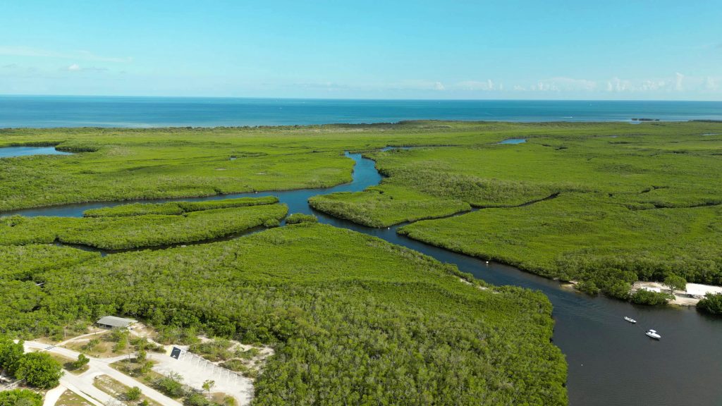 An aerial view of a creek winding through Everglades wetland