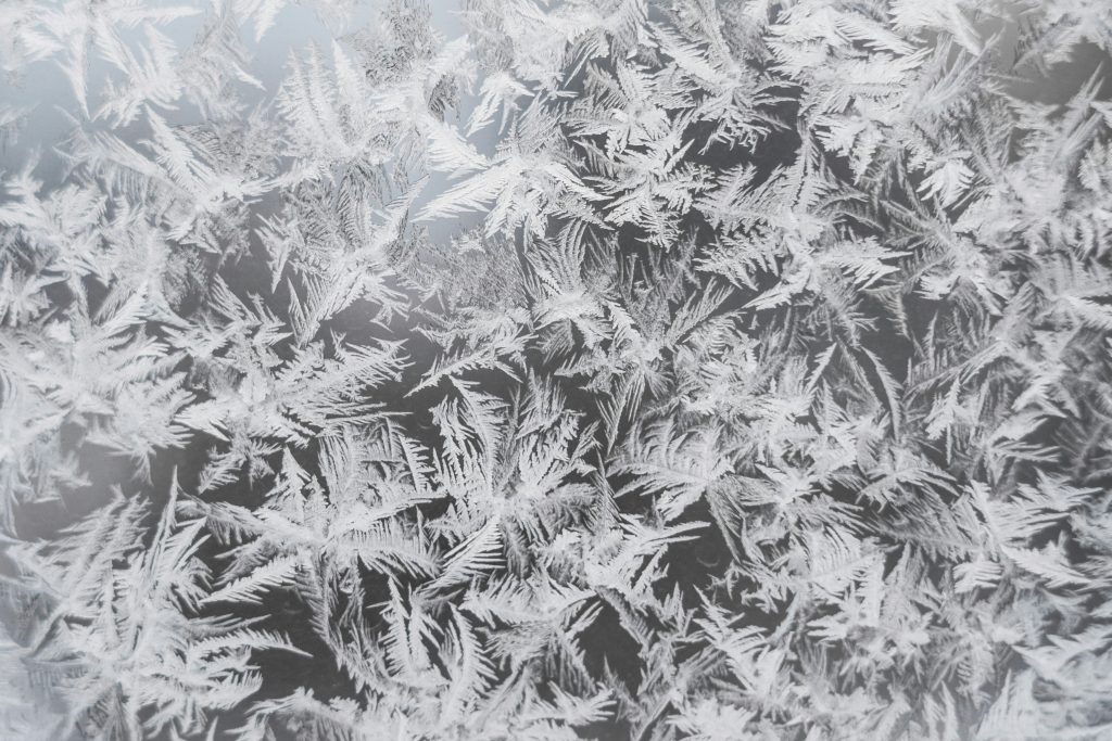 Feathered frost crystals grown across a cold surface