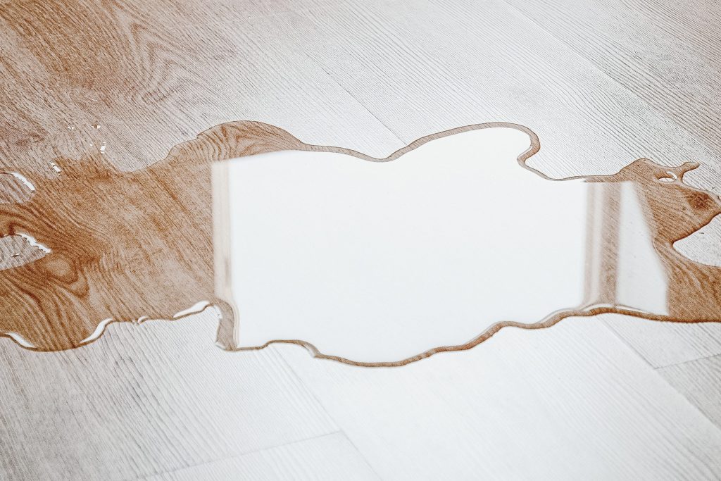 A clear puddle spreading across a pale wood floor, darkening the boards it has soaked into